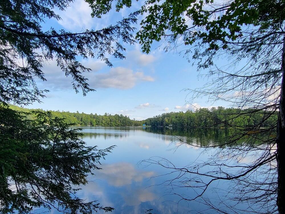 348 Sand Pond Road Chesterville, ME 04938 - Photo 3 of 16 20220907_164620_resized