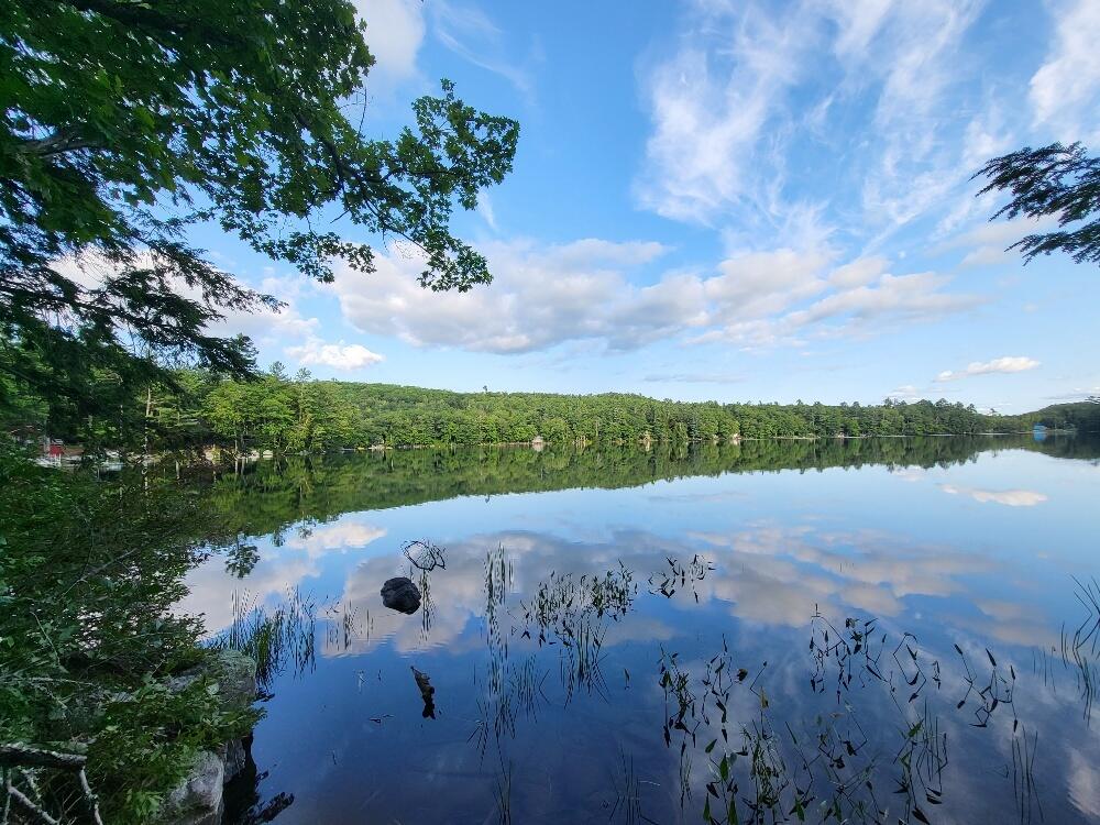 348 Sand Pond Road Chesterville, ME 04938 - Photo 4 of 16 20220907_165333_resized