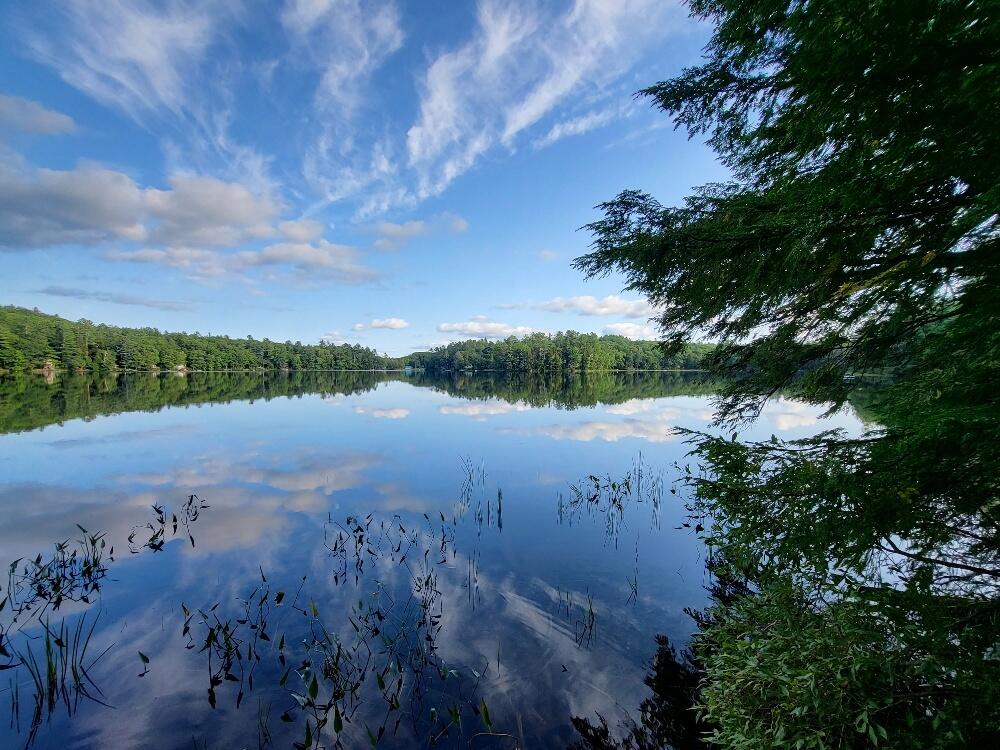 348 Sand Pond Road Chesterville, ME 04938 - Photo 5 of 16 20220907_165351_resized