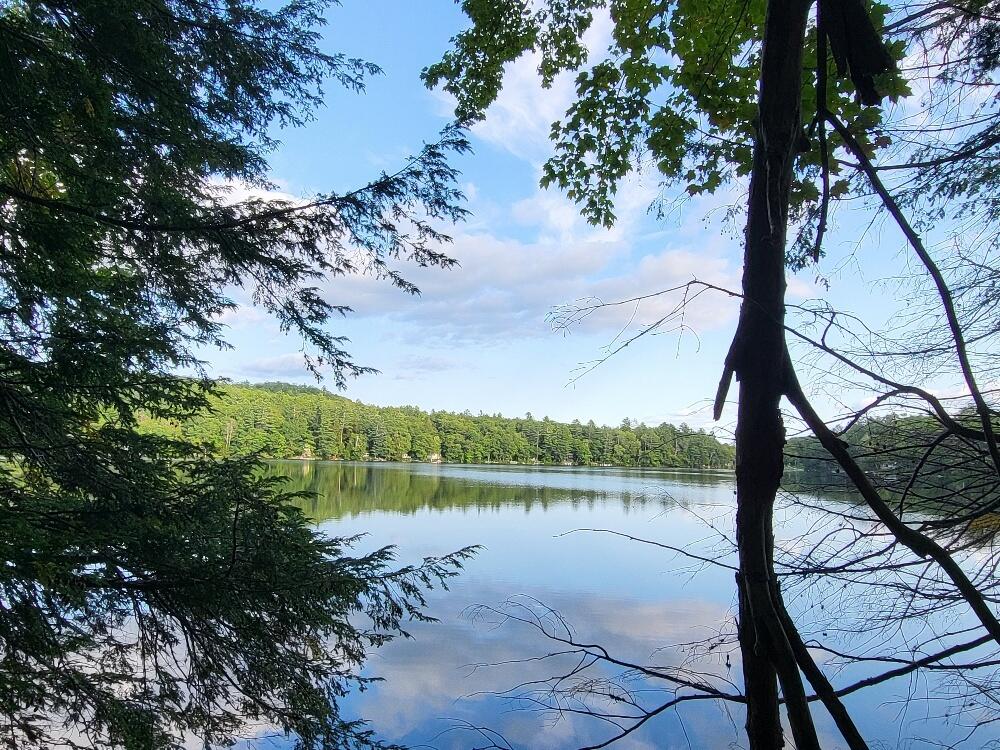 348 Sand Pond Road Chesterville, ME 04938 - Photo 6 of 16 20220907_164634_resized_1