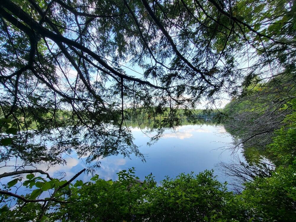 348 Sand Pond Road Chesterville, ME 04938 - Photo 7 of 16 20220907_165111_resized