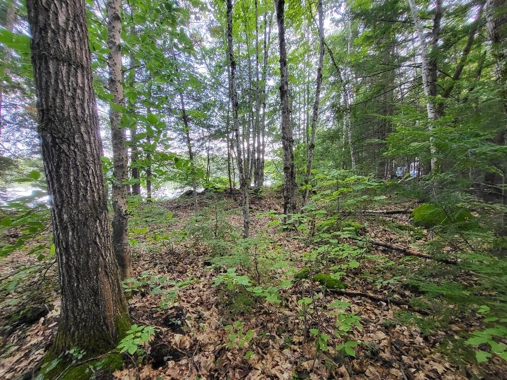 348 Sand Pond Road Chesterville, ME 04938 - Photo 8 of 16 20220907_165514_resized