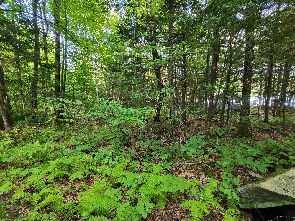 348 Sand Pond Road Chesterville, ME 04938 - Photo 9 of 16 20220907_163135_resized