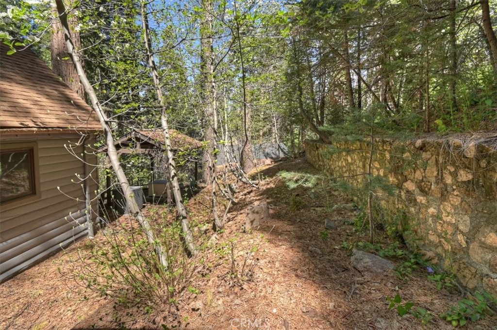 851 Cottage Grove Road Lake Arrowhead, CA 92352 - Photo 4 of 52