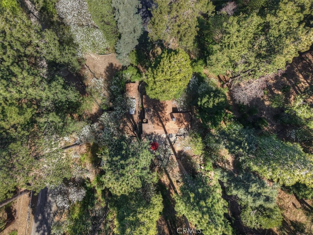 851 Cottage Grove Road Lake Arrowhead, CA 92352 - Photo 42 of 52