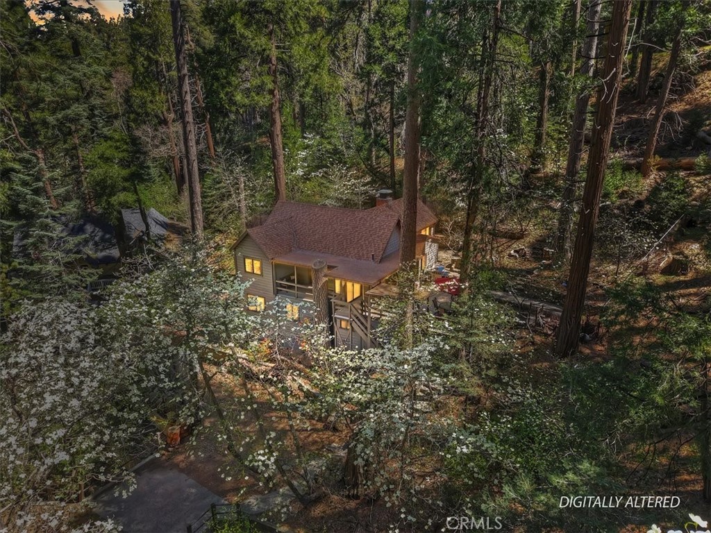 851 Cottage Grove Road Lake Arrowhead, CA 92352 - Photo 43 of 52