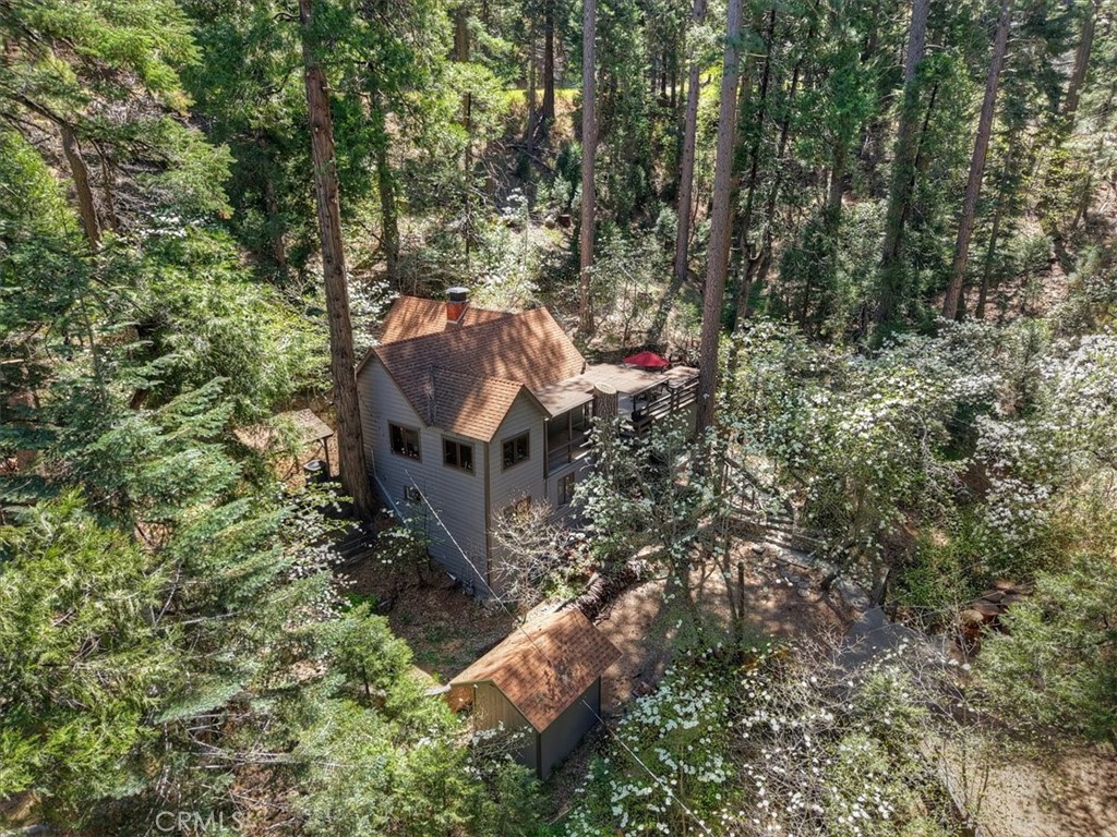 851 Cottage Grove Road Lake Arrowhead, CA 92352 - Photo 46 of 52