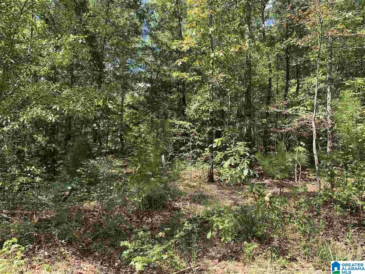 Mckesie Street, Unit 40 Riverside, AL 35135 - Photo 16 of 24