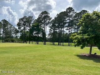 3003 Verdant Ridge New Bern, NC 28562 - Photo 10 of 11 Golf course