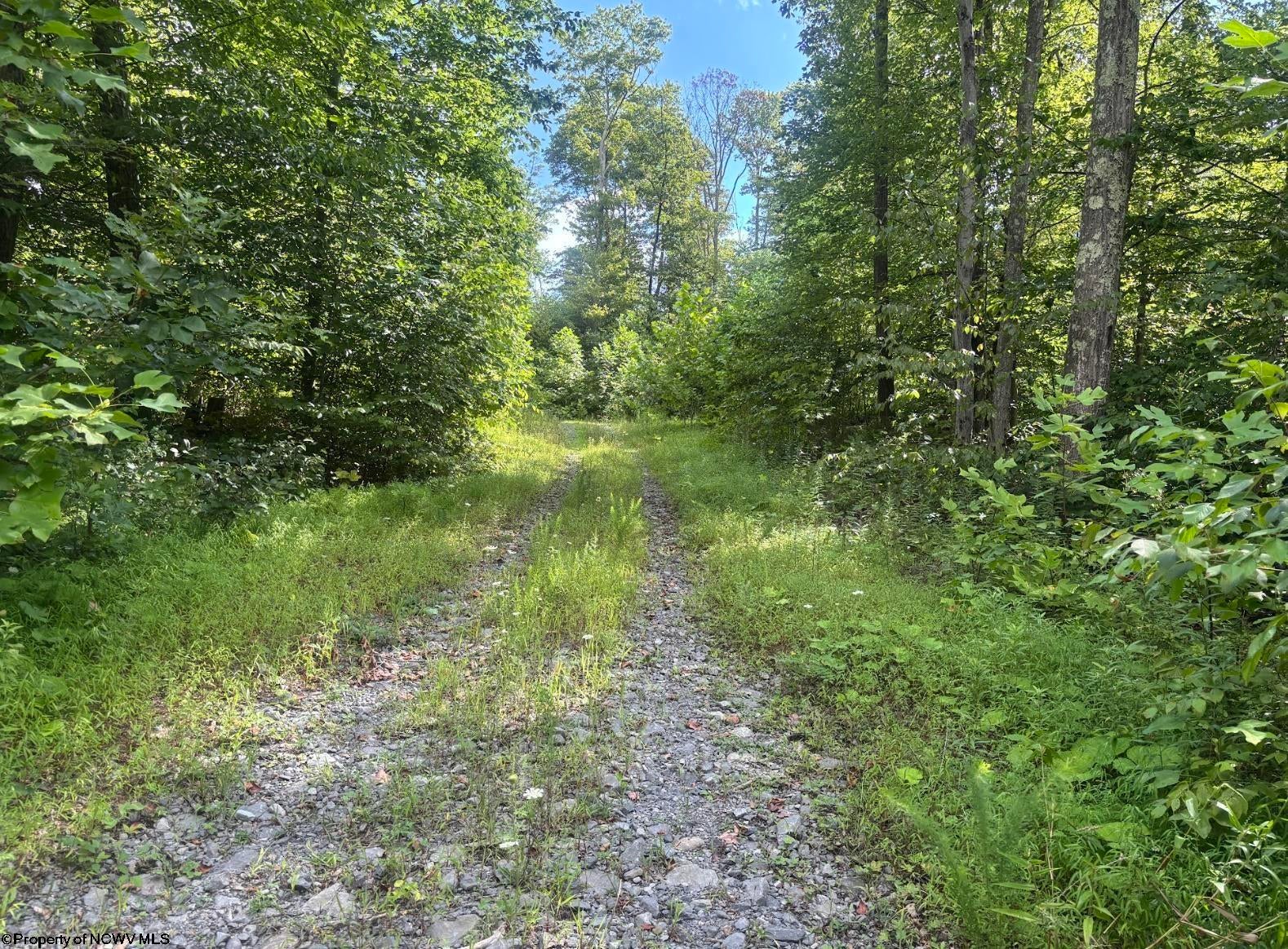 Tbd Fill Hollow Road Rowlesburg, WV 26425 - Photo 14 of 36 Gallery Image 14