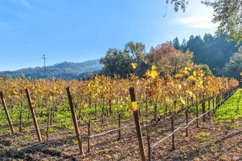 $1,295,000 | 2 Foothill Boulevard, Calistoga, CA 94515