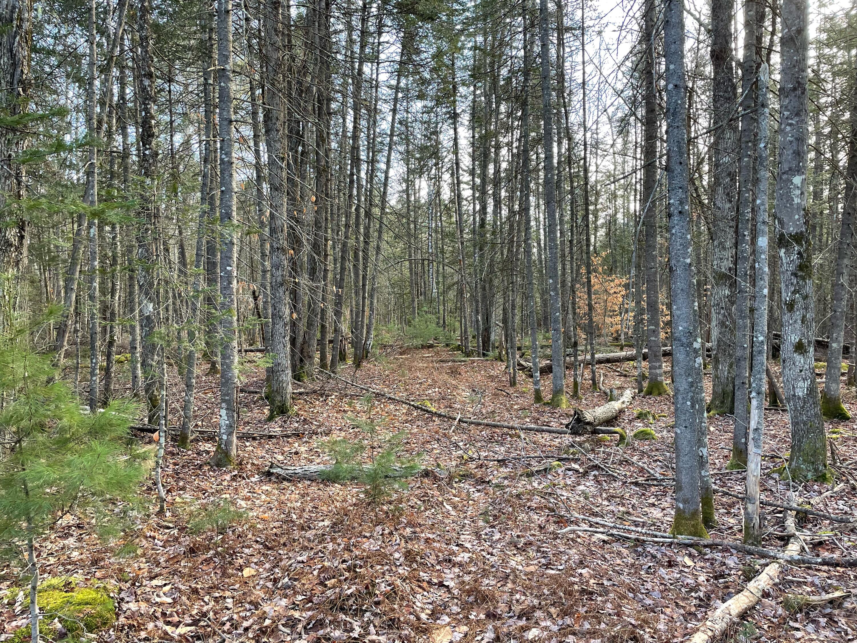 0 Loon Road Embden, ME 04958 - Photo 3 of 5 image1 (20)
