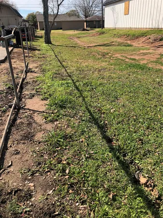 a view of yard with large tree