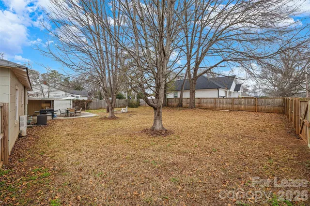 a street view with large trees