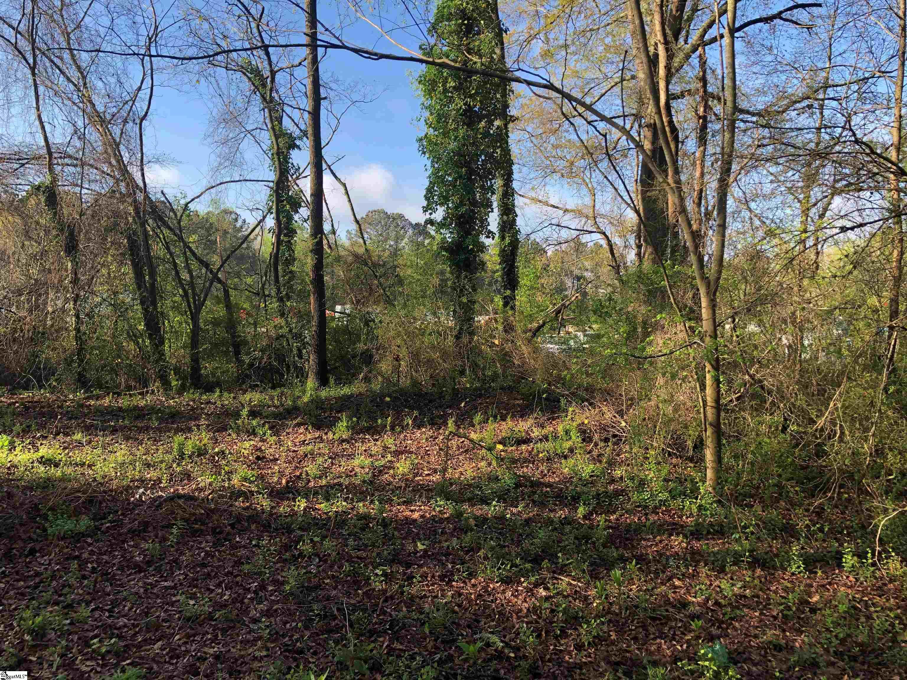 Mayo Road Cowpens, SC 29330 - Photo 3 of 10