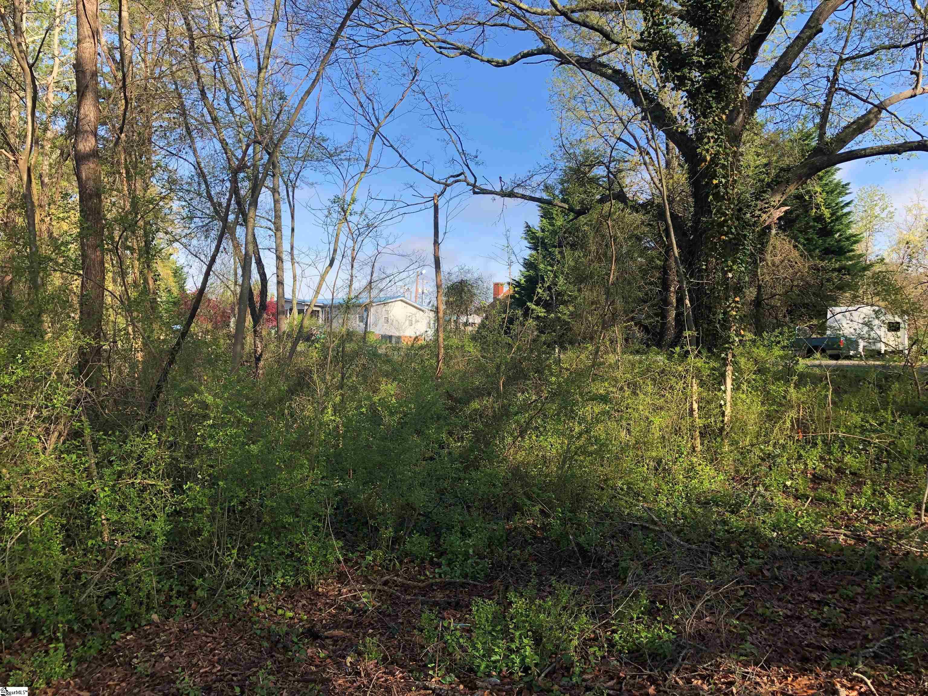 Mayo Road Cowpens, SC 29330 - Photo 4 of 10