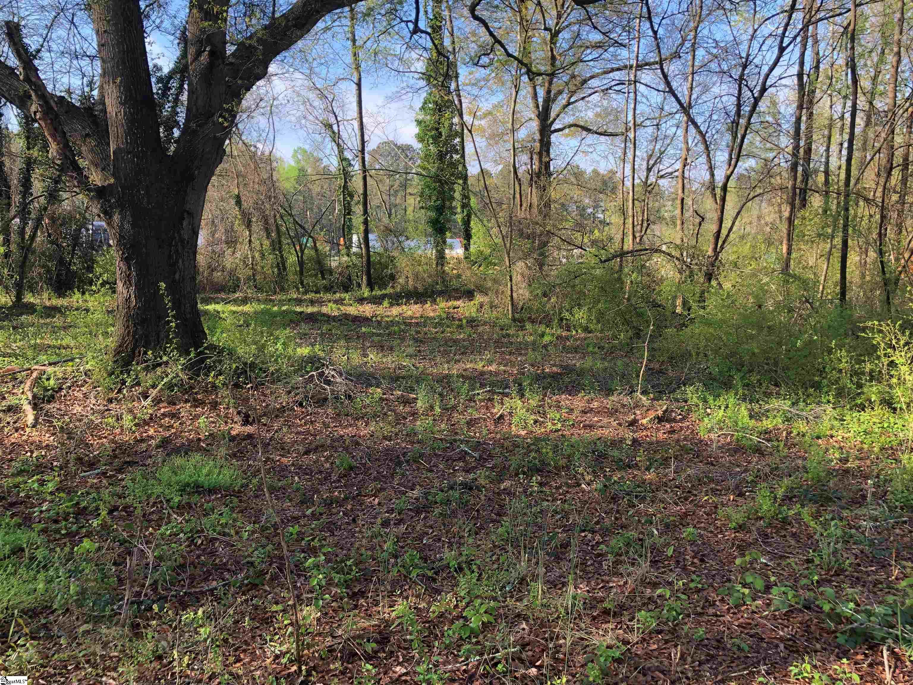Mayo Road Cowpens, SC 29330 - Photo 6 of 10