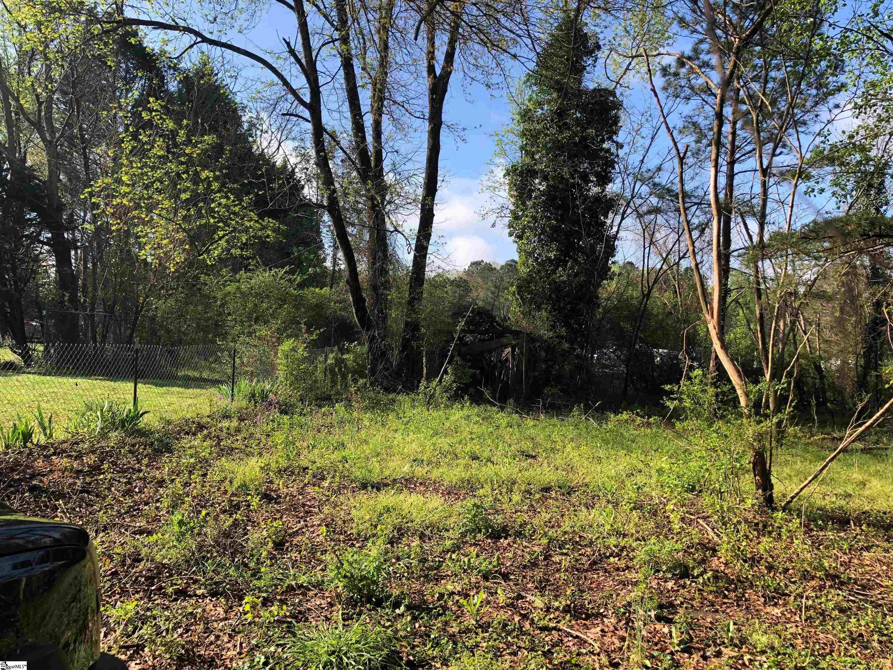 Mayo Road Cowpens, SC 29330 - Photo 7 of 10