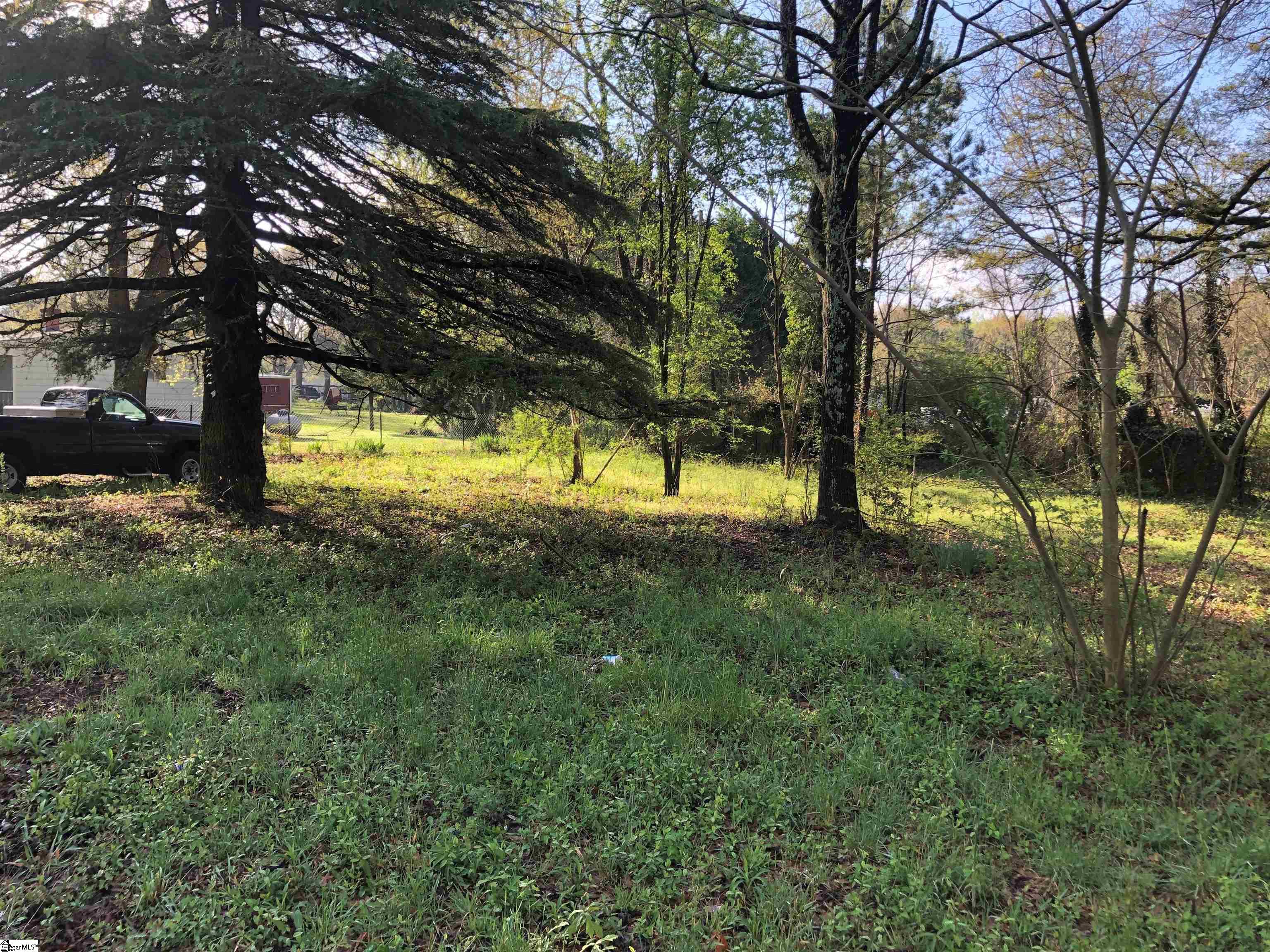 Mayo Road Cowpens, SC 29330 - Photo 8 of 10