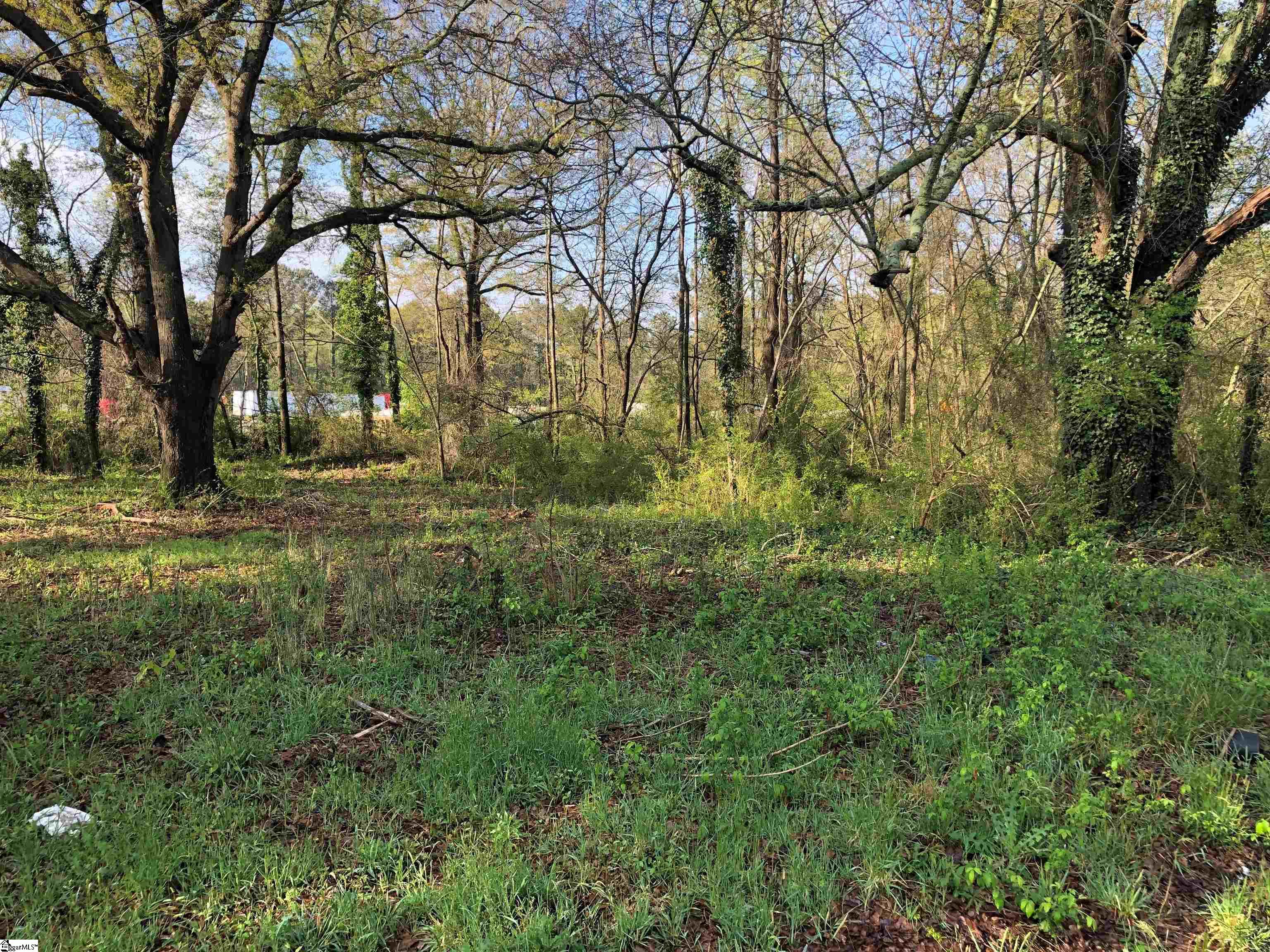 Mayo Road Cowpens, SC 29330 - Photo 9 of 10