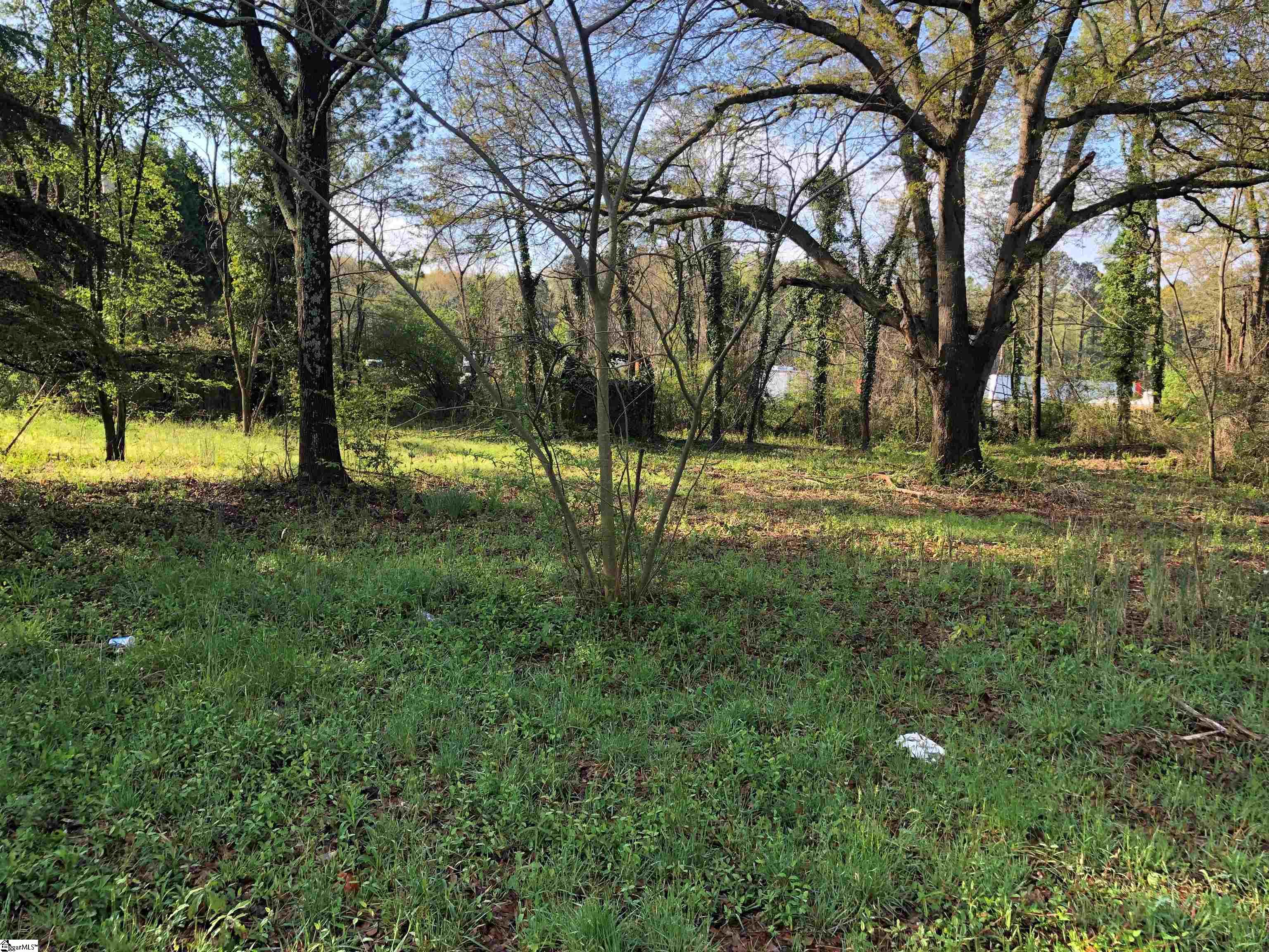 Mayo Road Cowpens, SC 29330 - Photo 10 of 10
