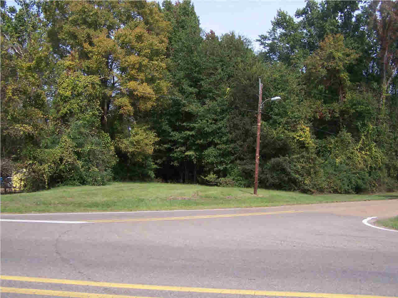 1174 Old Brandon Road Flowood, MS 39232 - Photo 3 of 5 Photo 3