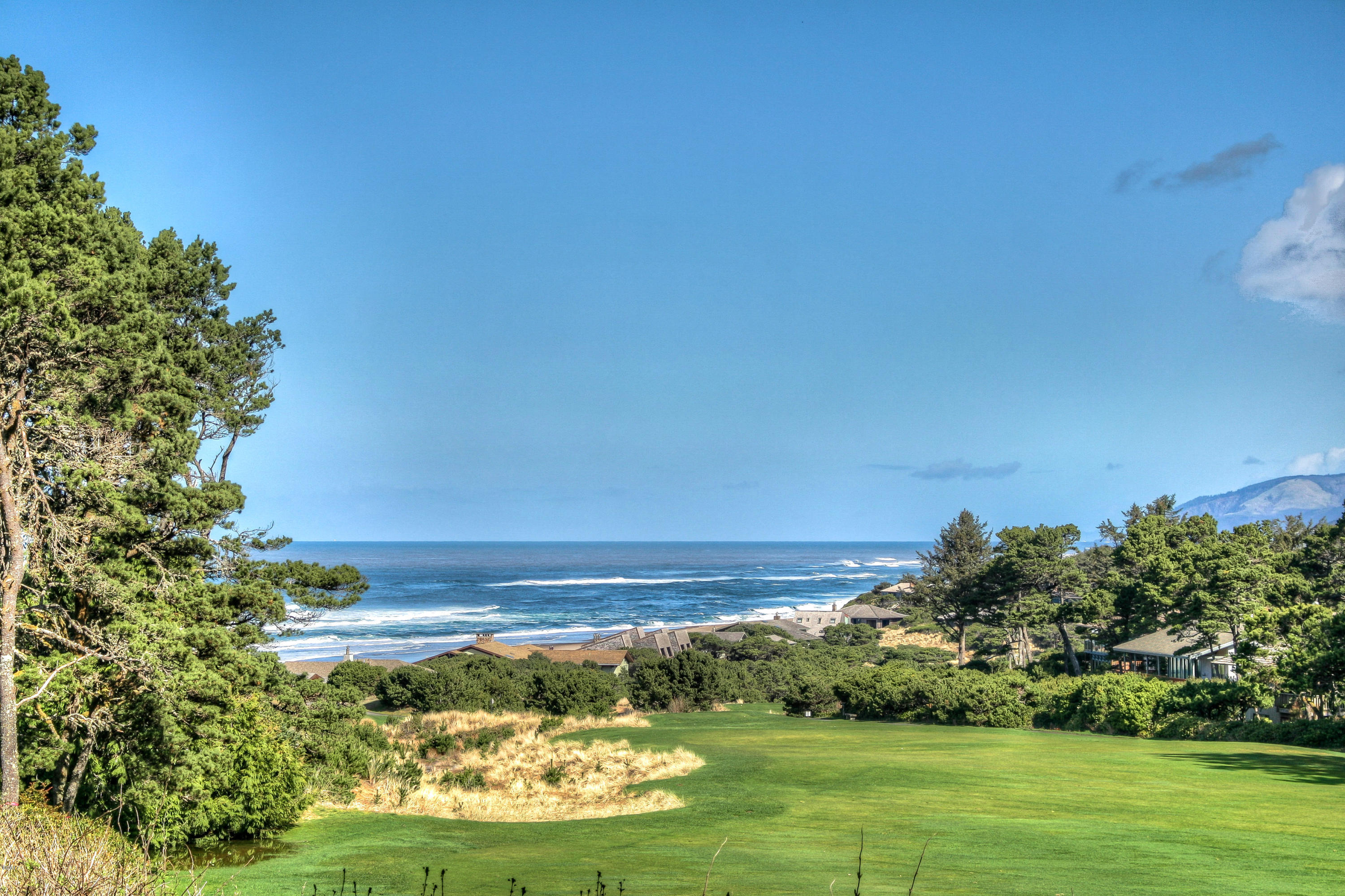 17 Big Tree Road Gleneden Beach, OR 97388 - Photo 42 of 52 a view of an ocean