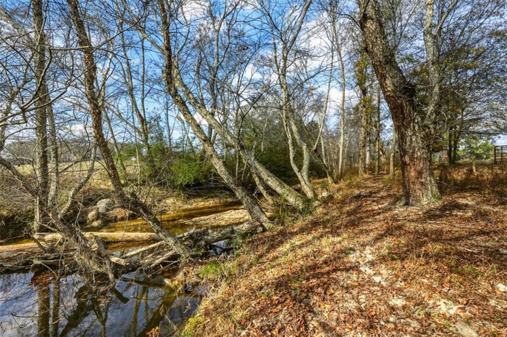0 Patrick Mill Road Southwest Winder, GA 30680 - Photo 14 of 16 a view of a yard with plants and trees