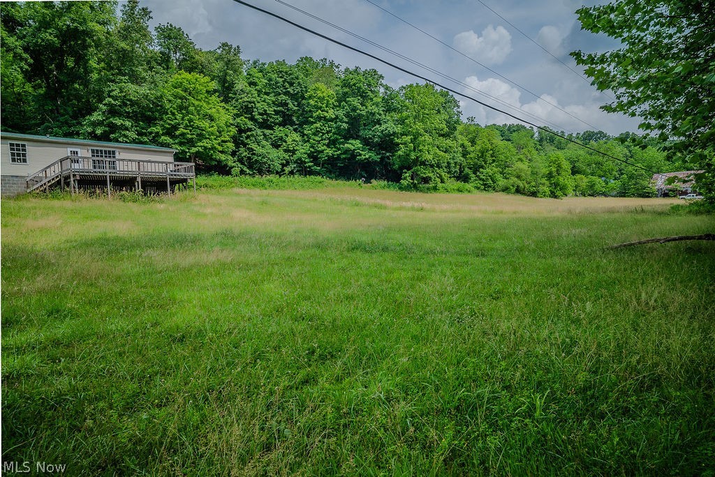 967 Buck Run Road Mineral Wells, WV 26150 - Photo 50 of 50 Expansive green space featuring natural vegetation and a distant wooded area