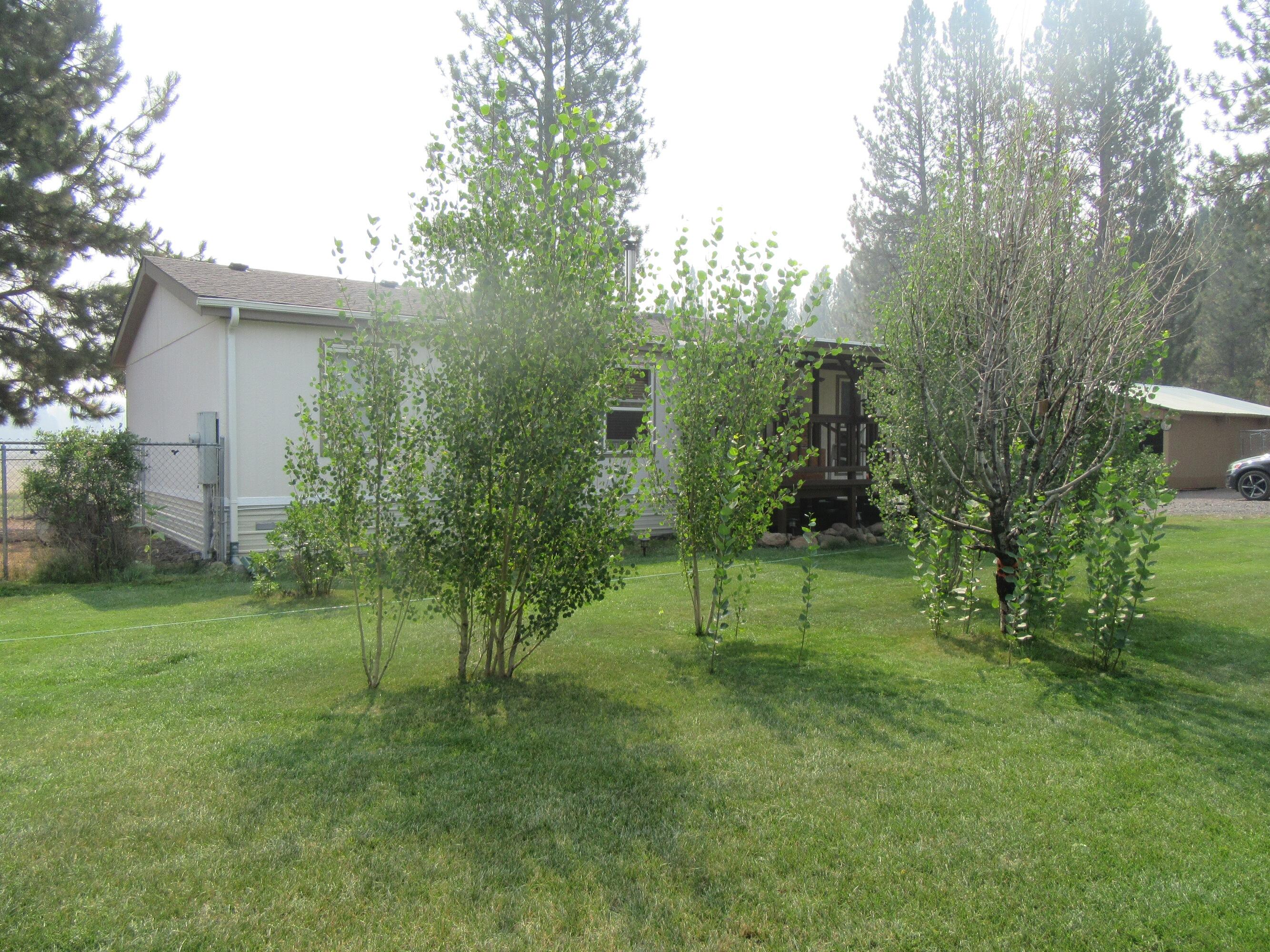 37187 Rollingwood Road Chiloquin, OR 97624 - Photo 28 of 33 lawn 3