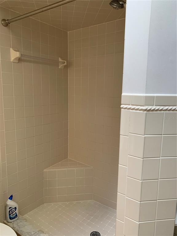 8340 Southwest 108th Pl Road Ocala, FL 34481 - Photo 13 of 32 Master step in shower