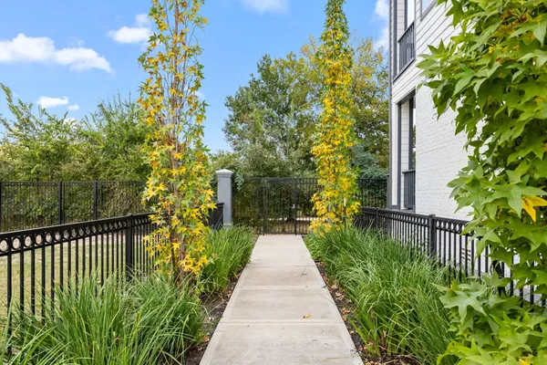 a view of a pathway both side of flower in the garden