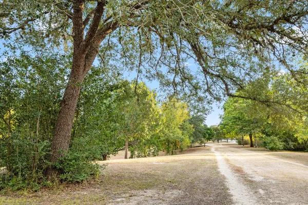 a view of a yard with plants and trees