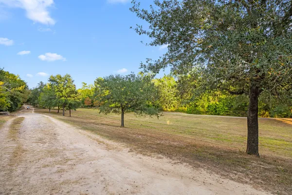 a view of a yard with a tree