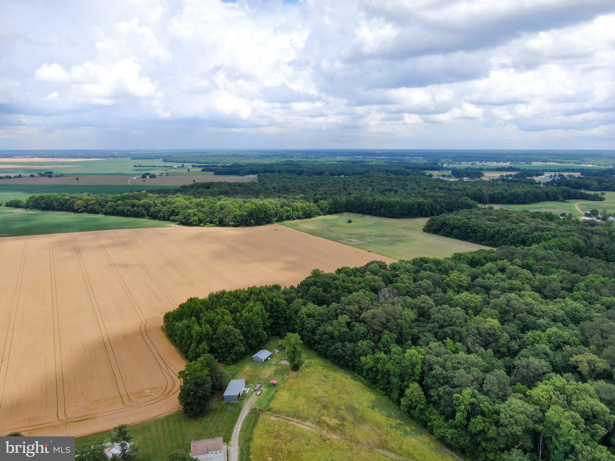 Willow Pond Road Denton, MD 21629 - Photo 6 of 10 Gallery Image 6