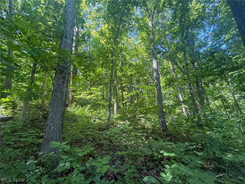 Keffer Road Stockport, OH 43787 - Photo 17 of 25