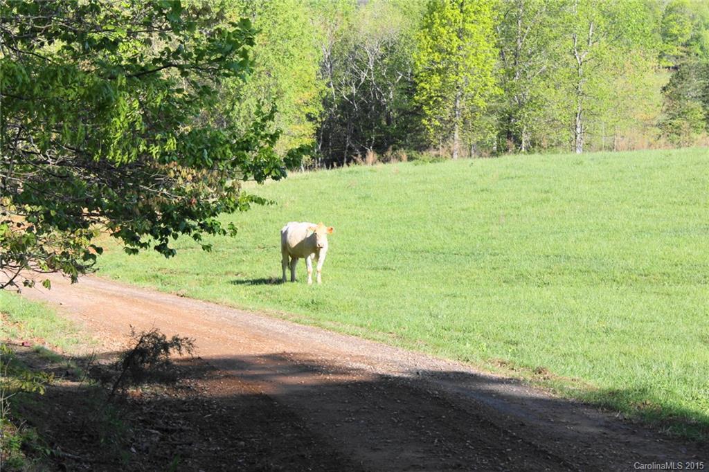 177 Mitch Road Union Grove, NC 28689 - Photo 23 of 24 Gallery Image 23