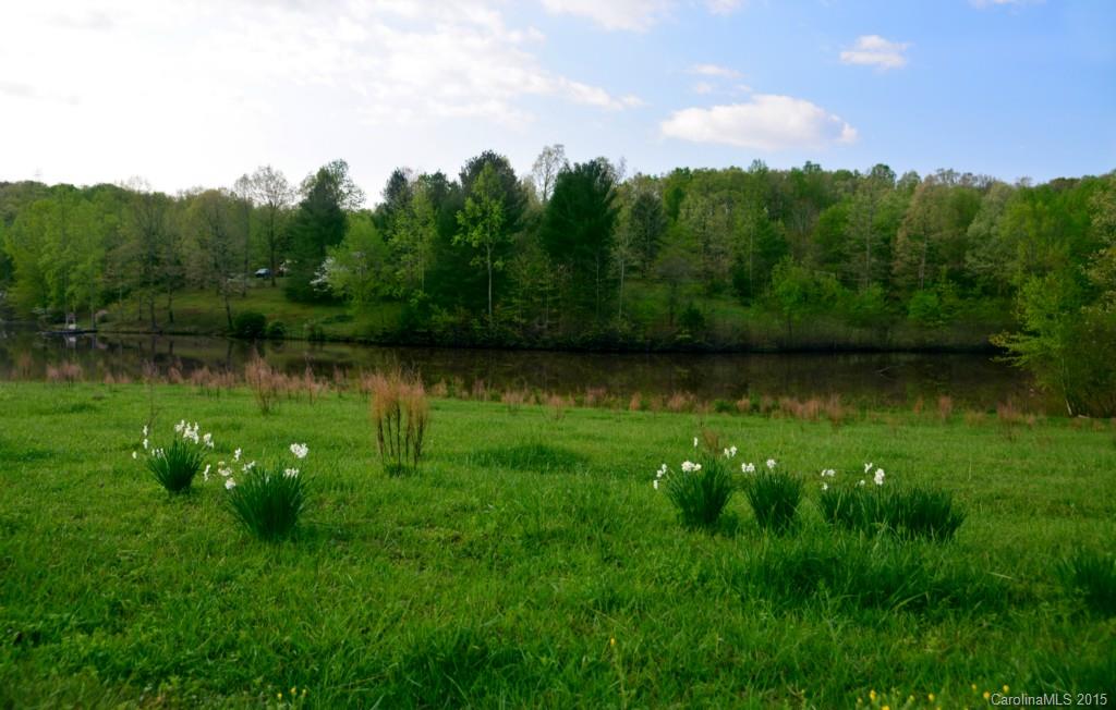177 Mitch Road Union Grove, NC 28689 - Photo 9 of 24 Gallery Image 9