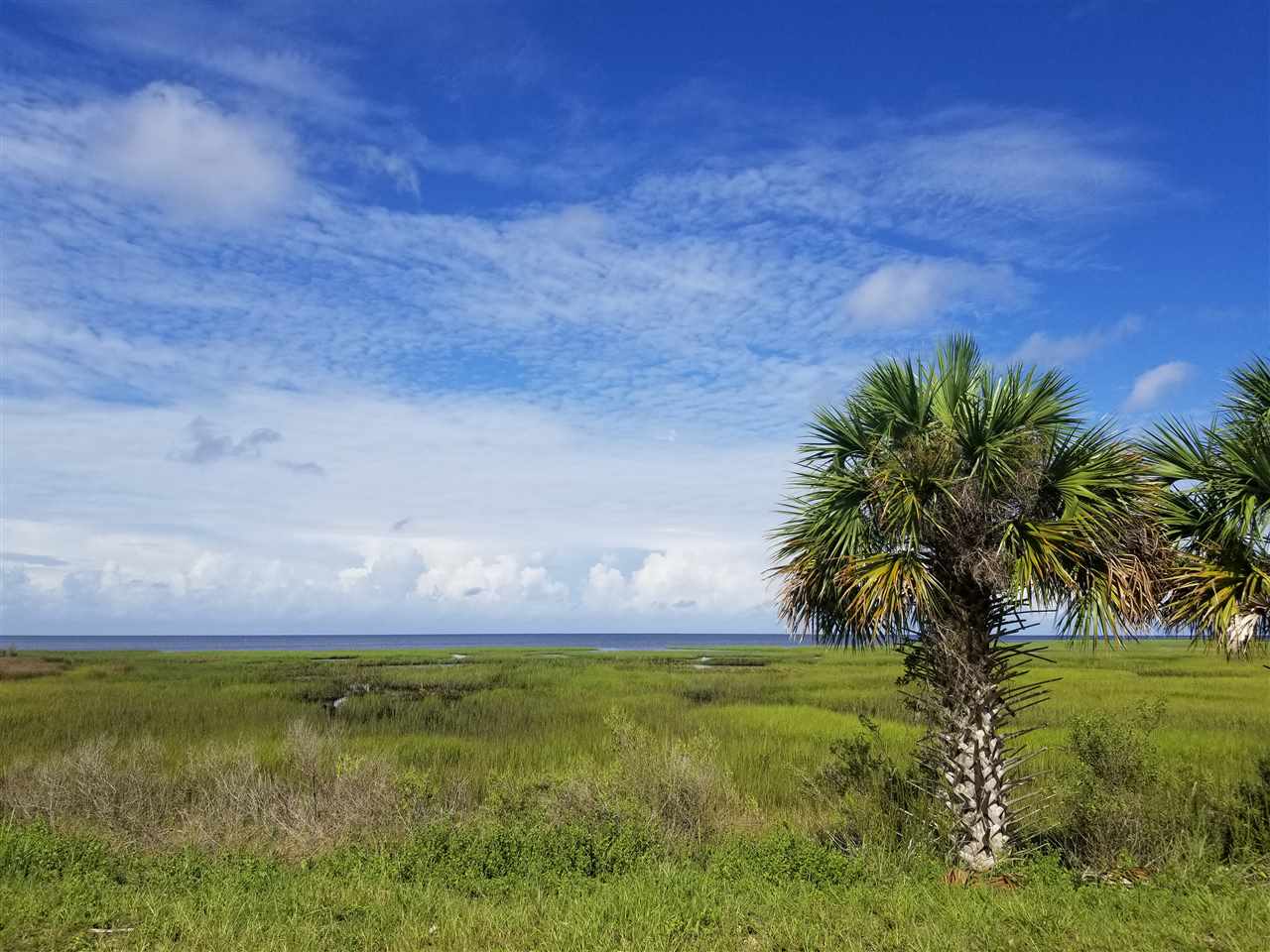 Lot 66 South Sandpiper Road Perry, FL 32348 - Photo 13 of 25 Gallery Image 13