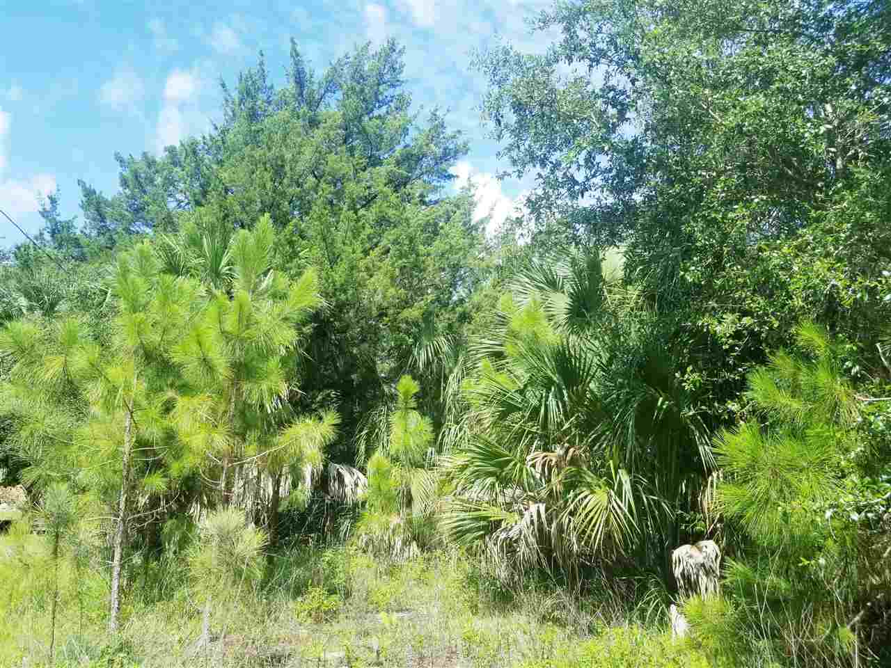 Lot 66 South Sandpiper Road Perry, FL 32348 - Photo 18 of 25 Gallery Image 18