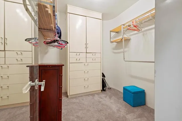 a spacious bedroom with a bed and glass walk in closet