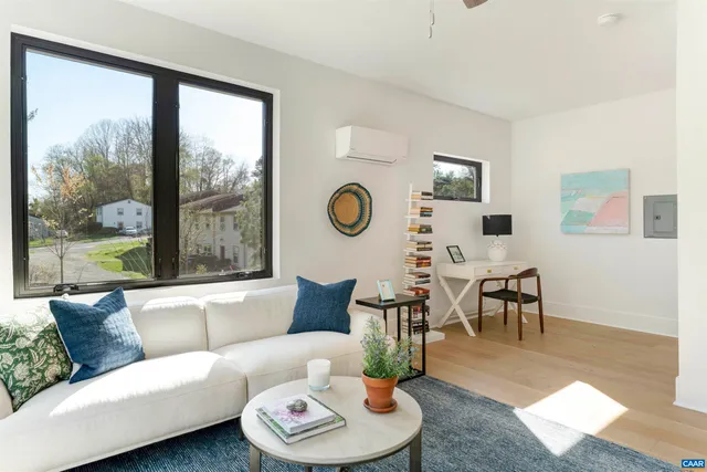 a living room with furniture a rug potted plant and a large window