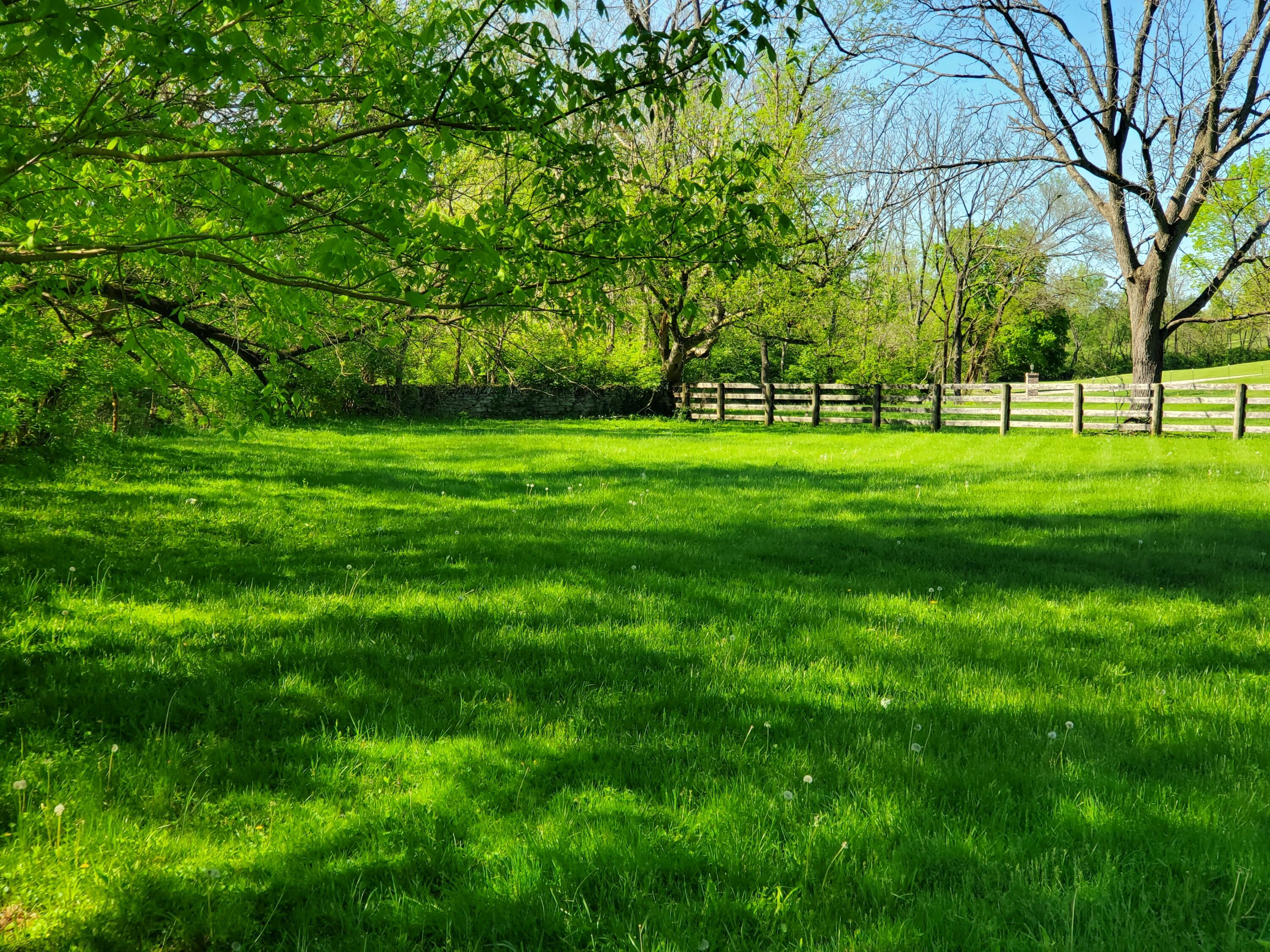 1010 Galloway Road Georgetown, KY 40324 - Photo 5 of 63 20250428_102437