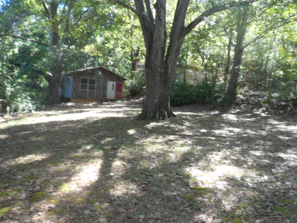 165 State Rd S-39-279 Central, SC 29630 - Photo 5 of 19 Mature trees shade a quiet clearing featuring a rustic wooden outbuilding.