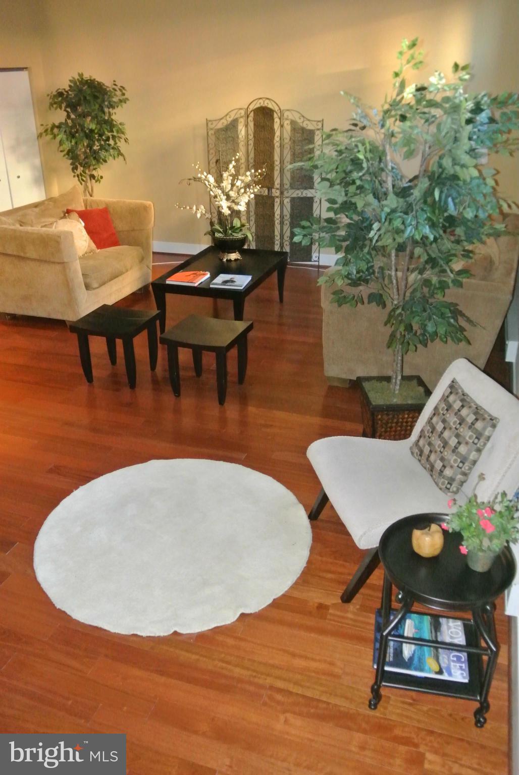 8310 Fenton Street, Unit B Silver Spring, MD 20910 - Photo 13 of 25 Living Room