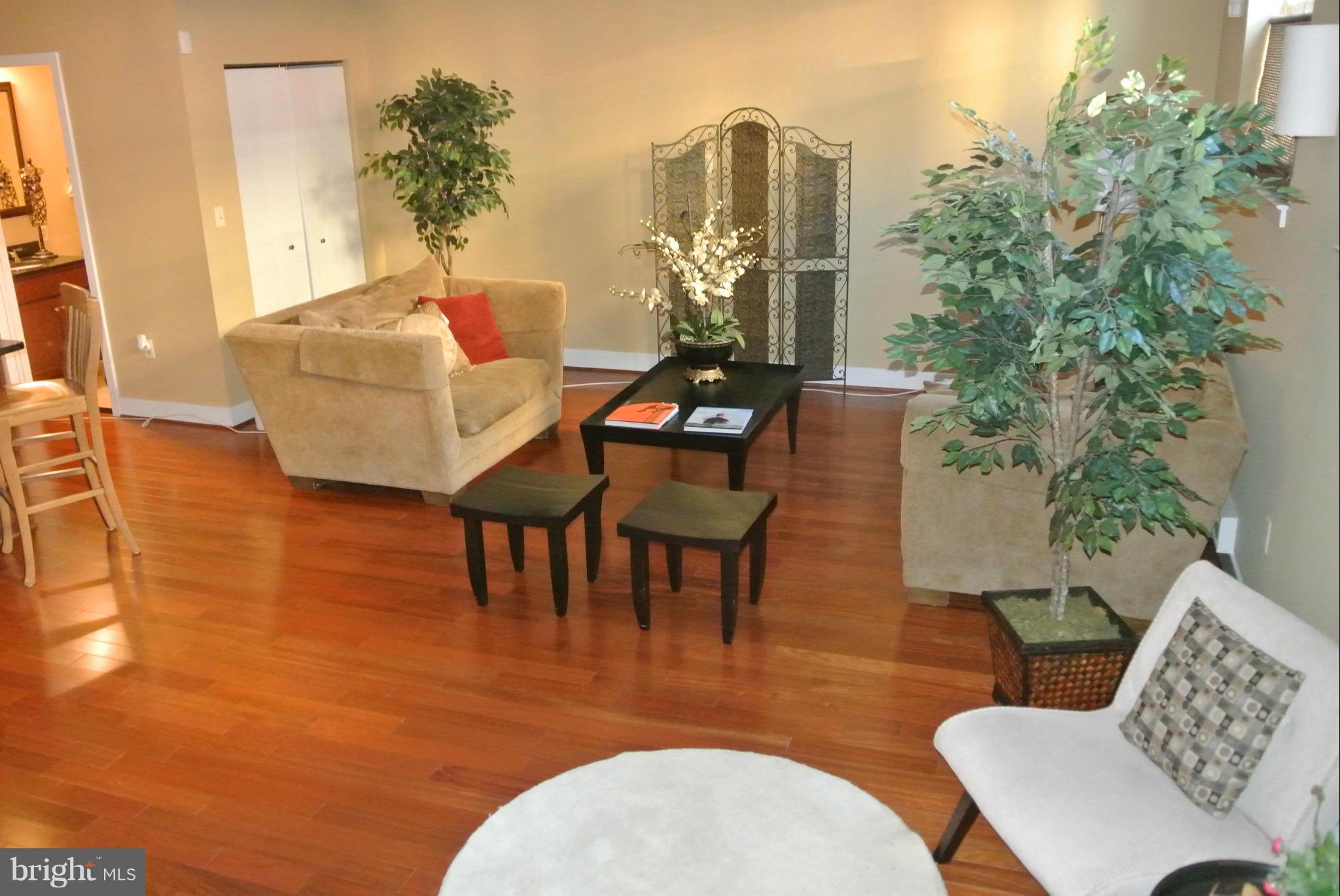 8310 Fenton Street, Unit B Silver Spring, MD 20910 - Photo 19 of 25 Living Room