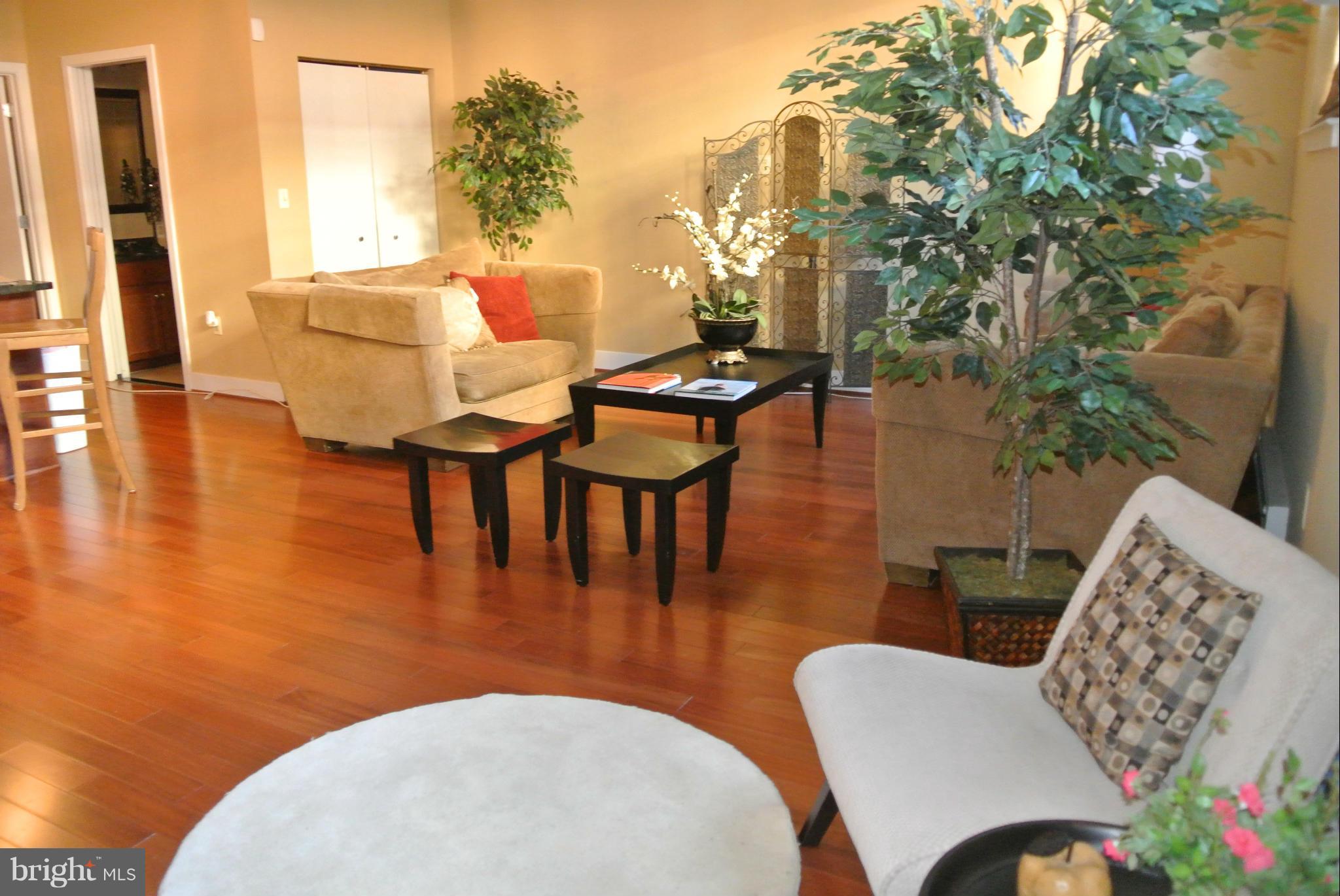 8310 Fenton Street, Unit B Silver Spring, MD 20910 - Photo 4 of 25 Living Room