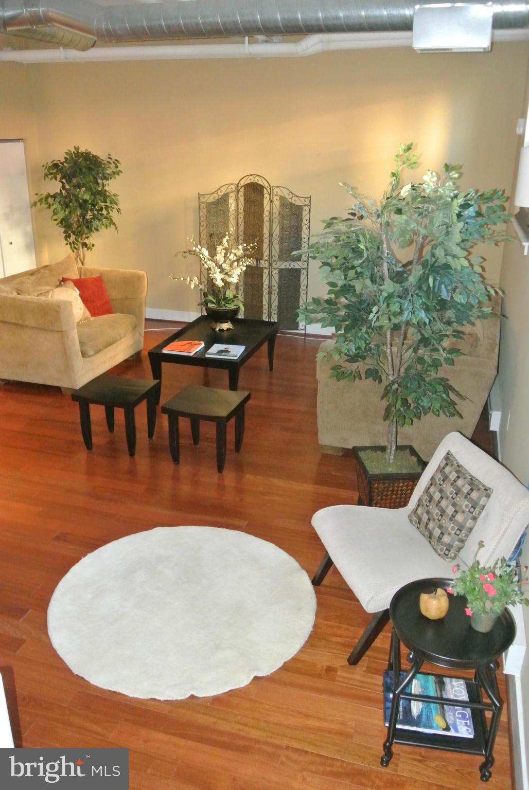 8310 Fenton Street, Unit B Silver Spring, MD 20910 - Photo 5 of 25 Living Room