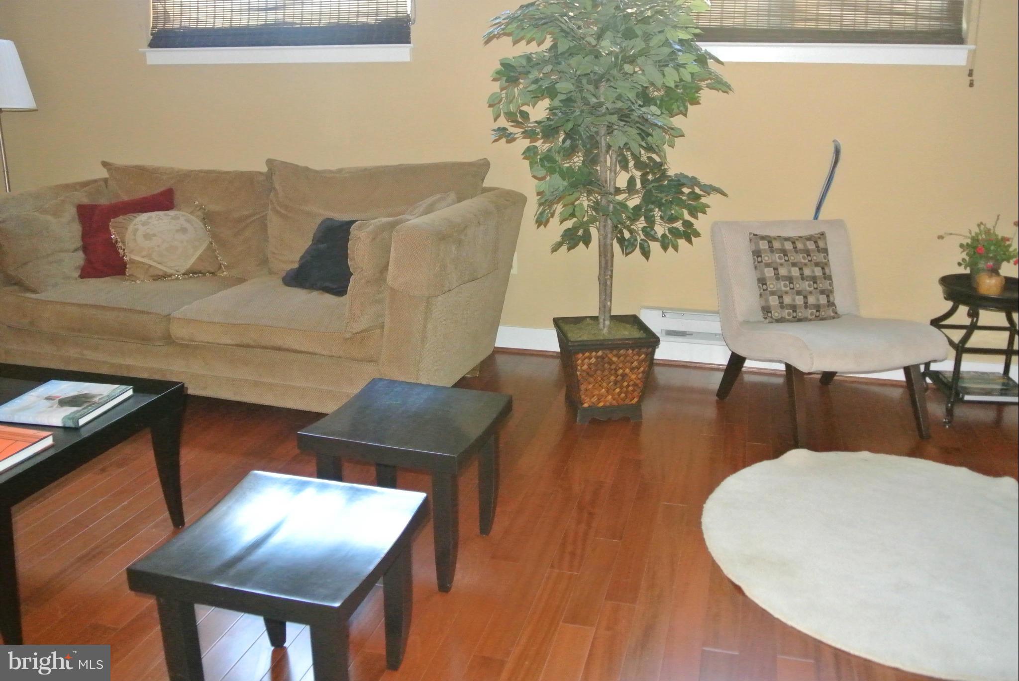 8310 Fenton Street, Unit B Silver Spring, MD 20910 - Photo 6 of 25 Living Room