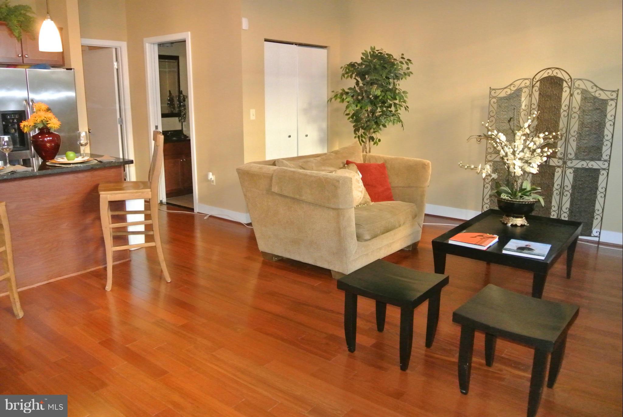 8310 Fenton Street, Unit B Silver Spring, MD 20910 - Photo 7 of 25 Living Room